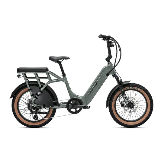 Troxus E-Bike Lynx 2-Up 2 Seater Grey