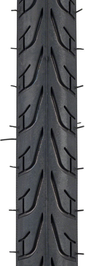 Vittoria Randonneur II Tire: Wire Bead, 700x28, Black