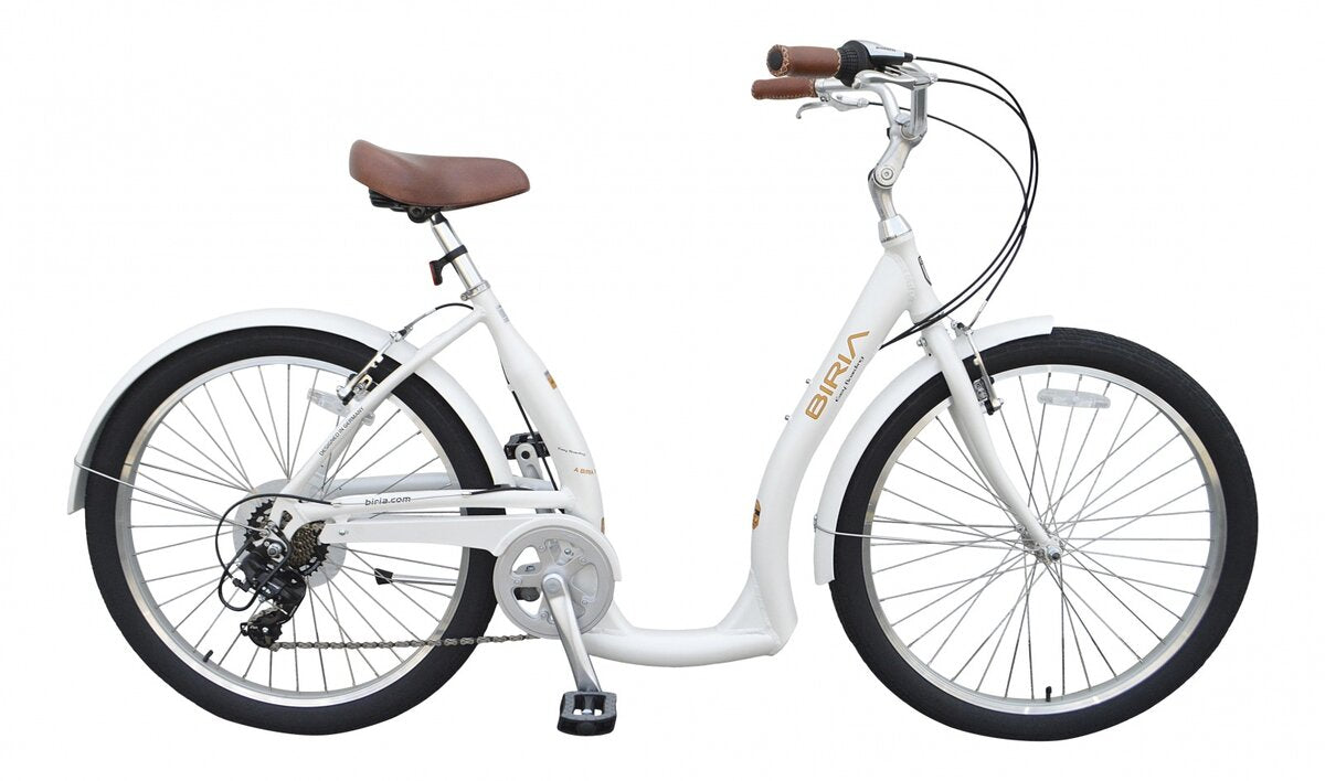 Biria Bike Easy Boarding Balloon 7