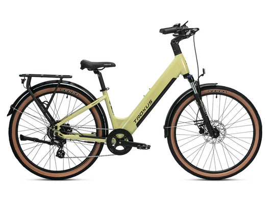 Troxus E-Bike TRAX LT ST 350/10