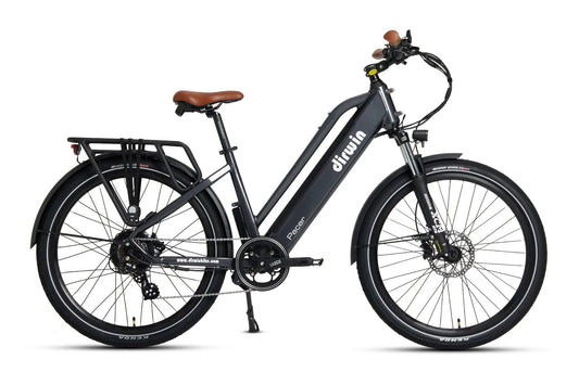 Dirwin E-Bike Pacer Step-Through